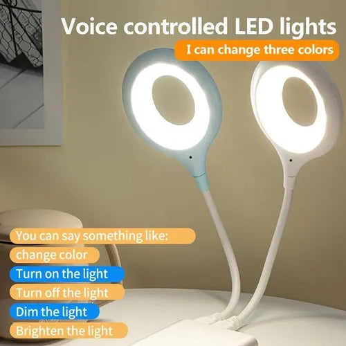 LK-50 USB Voice Smart Light with box